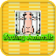 Saving Animals - Memory Game