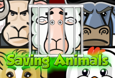 Saving Animals - Memory Game main cover image