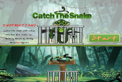 Catch The Snake main cover image